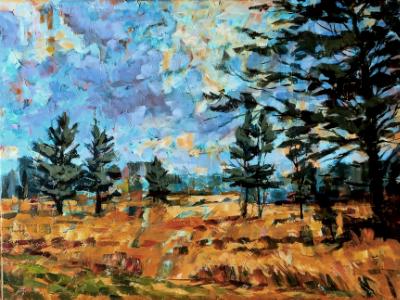 Massachusetts Landscape