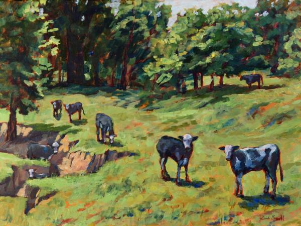 Curious Cows