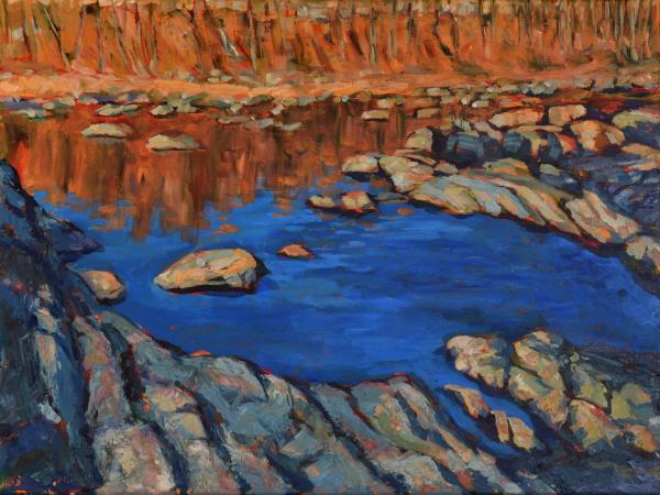 Salmon Falls SF#1